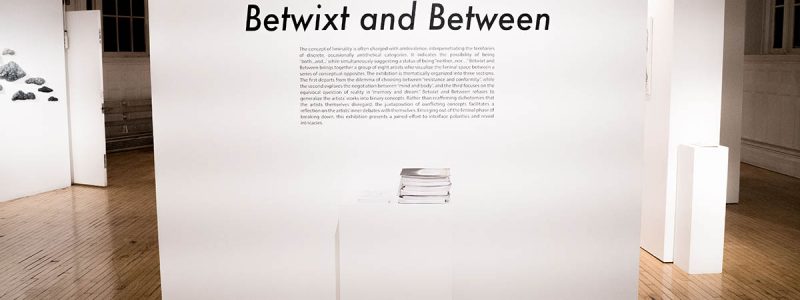 Title wall of the exhibition.