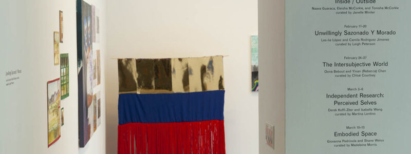 Exhibition Entrance to UNWILLINGLY SAZONADO Y MORADO