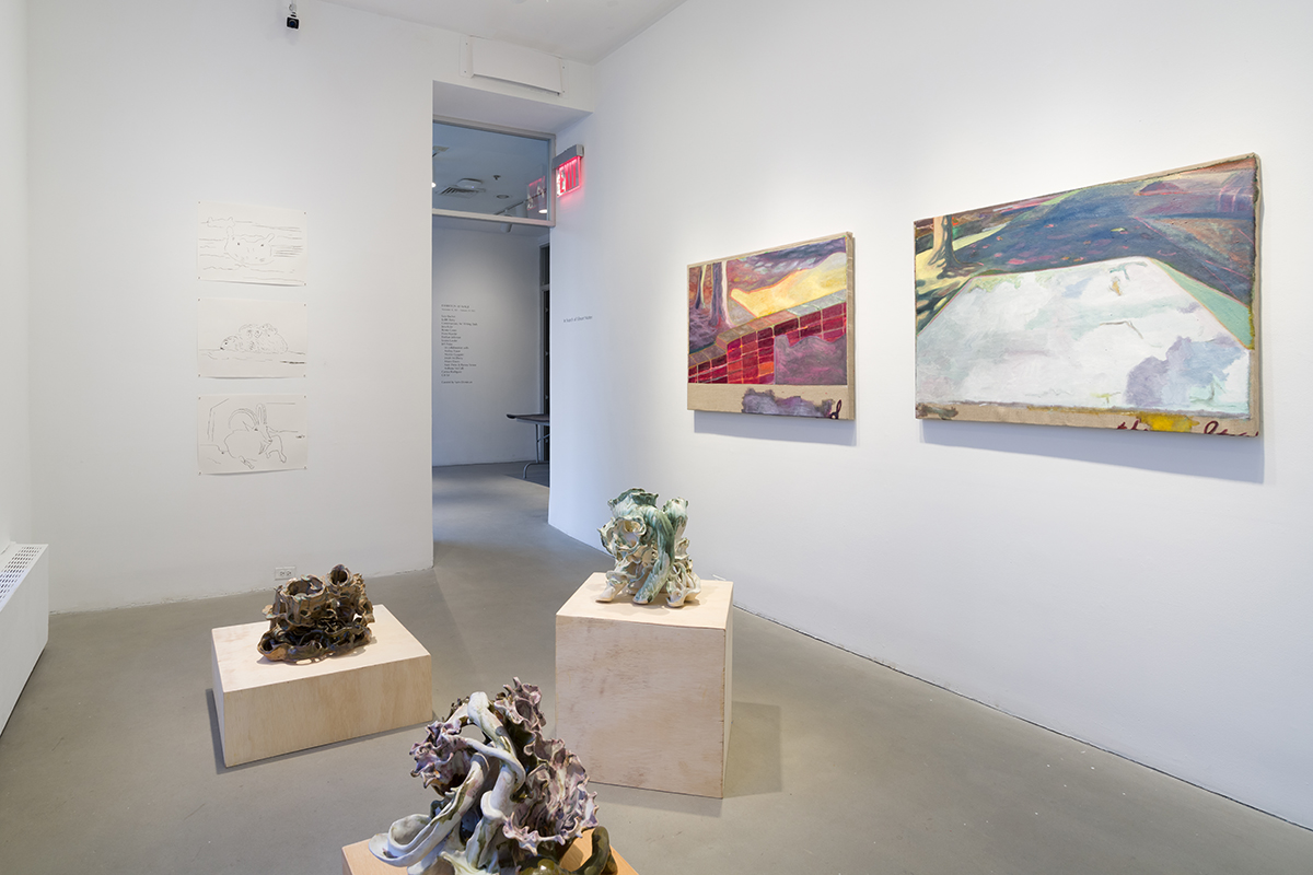 Installation view of "In Search of Vibrant Matter"