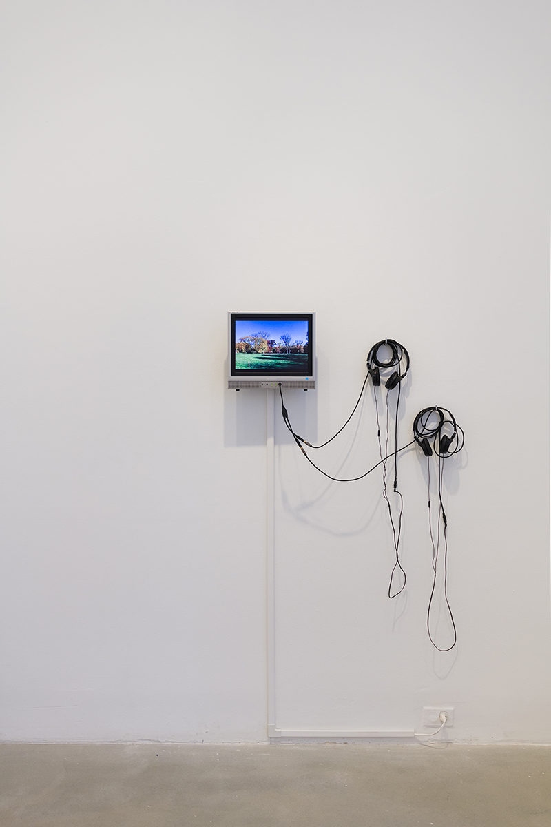 Installation view of "In Search of Vibrant Matter"